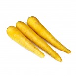 نرگسی