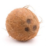 نارگیل