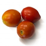گوجه فرنگی