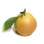 هفت میوه